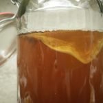 scoby quase pronto